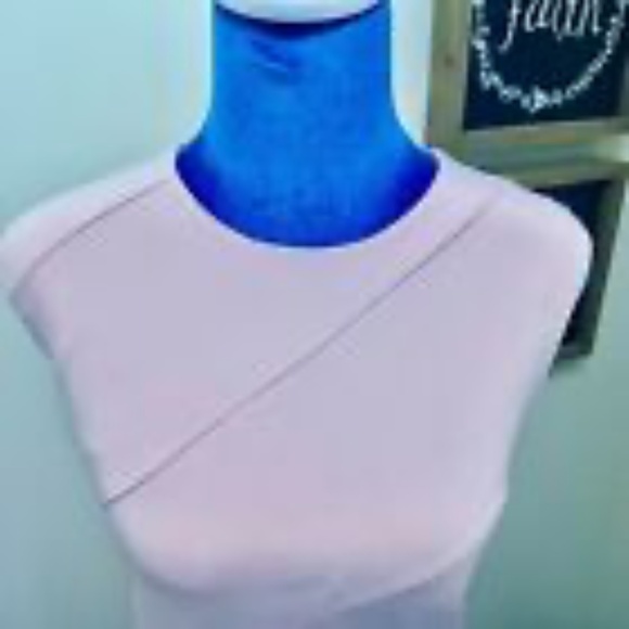 THEORY Blush Pink Fit & Flare Stretch Dress Sleeveless Lined 12 - Picture 3 of 10